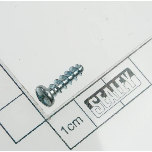 Sealey Rd head s/t screw m4 x 12