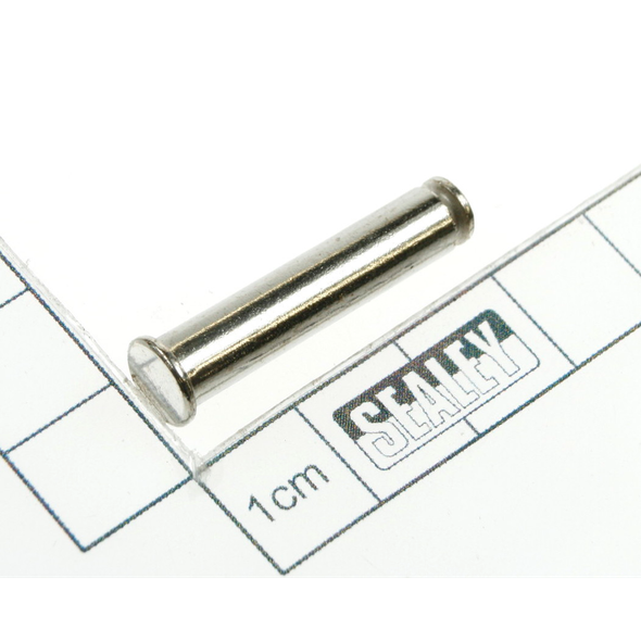 Sealey Trigger lock