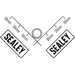 Sealey Gasket
