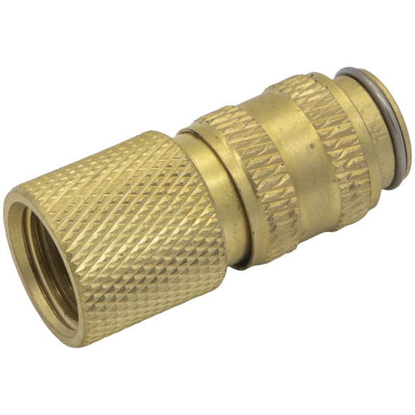Sealey Coupler