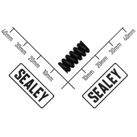 Sealey Spring