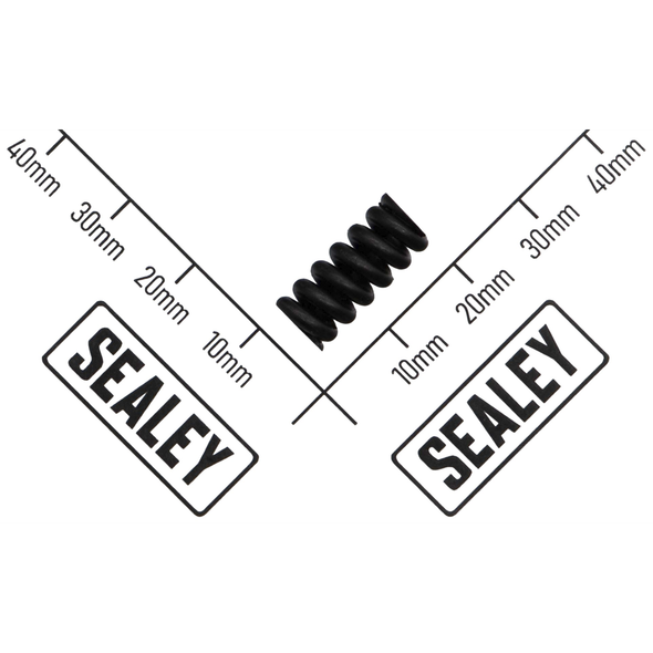 Sealey Spring