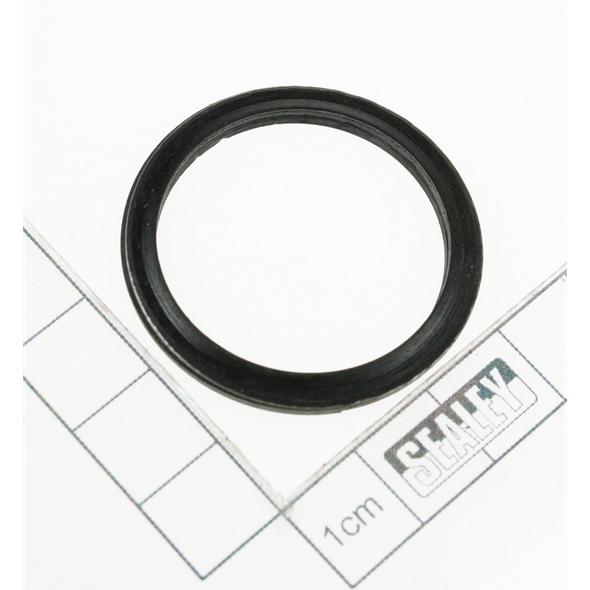 Sealey Seal washer