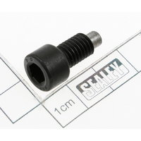Sealey Screw