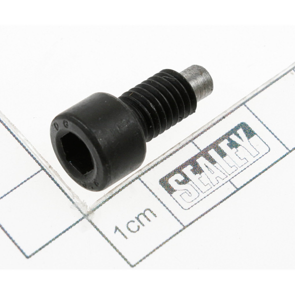 Sealey Screw