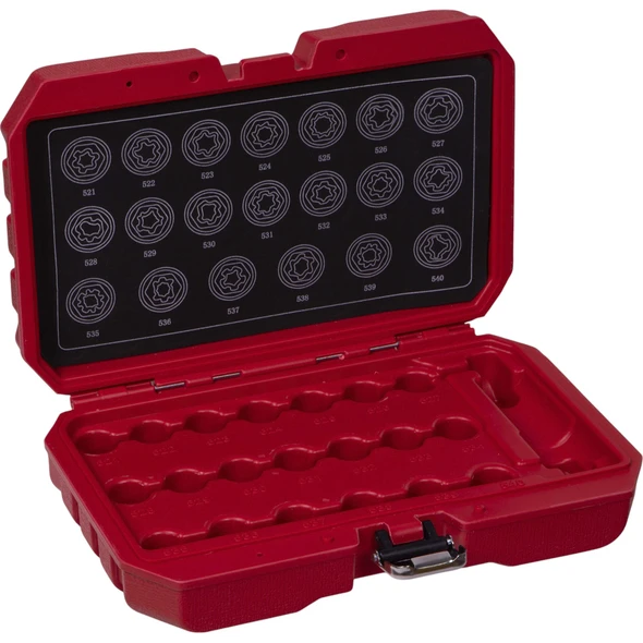 Sealey Blow Mould Case