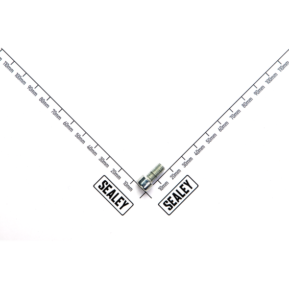 Sealey Screw (m6x12)
