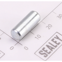 Sealey Lower pilot pin