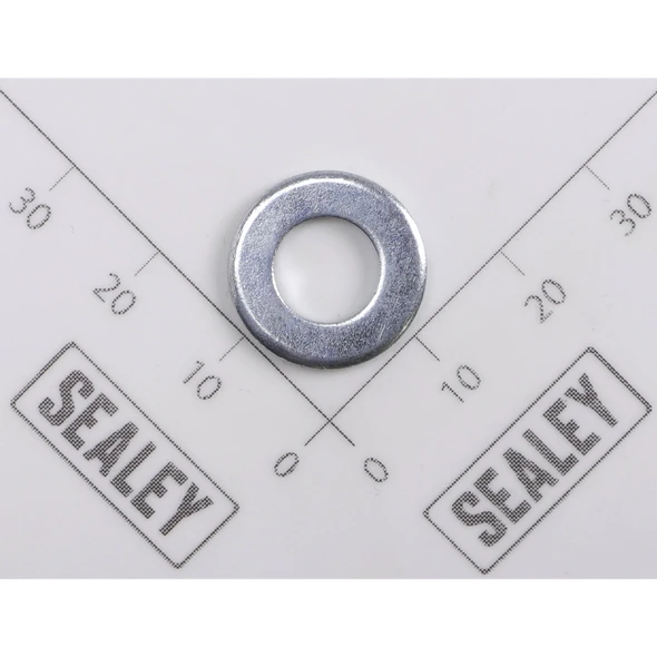 Sealey Washer