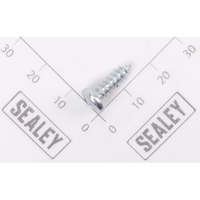 Sealey Pan head screw