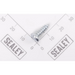 Sealey Pan head screw