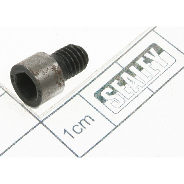 Sealey Screw