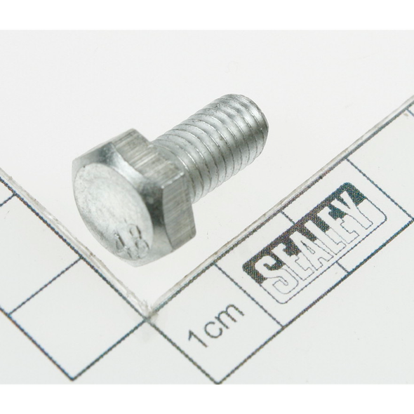 Sealey Motor screw