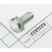Sealey Motor screw