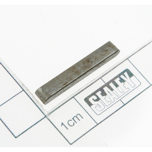 Sealey Pin