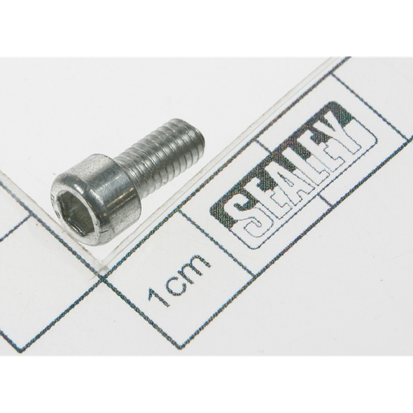 Sealey Screw (m5x10)