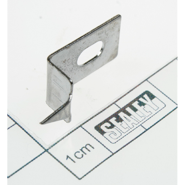 Sealey Pointer