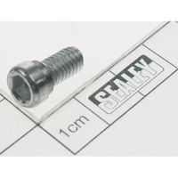 Sealey Screw (m6x10) SM150D.41