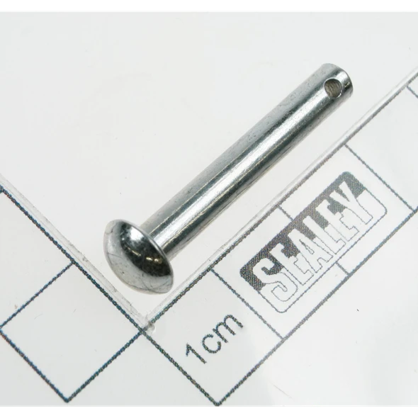 Sealey Pin