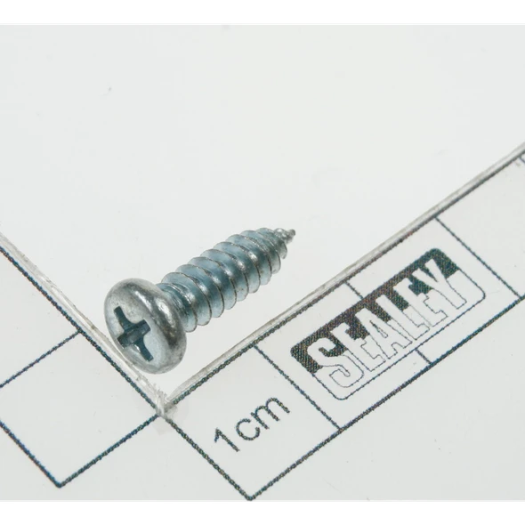 Sealey Rd head s/t screw m5x16