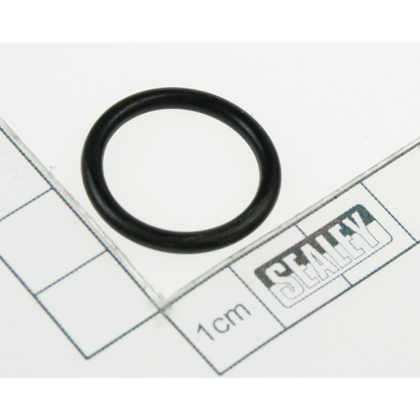 Sealey Seal (safety valve)