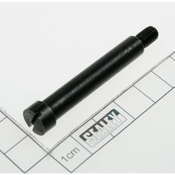 Sealey Bolt m6x55