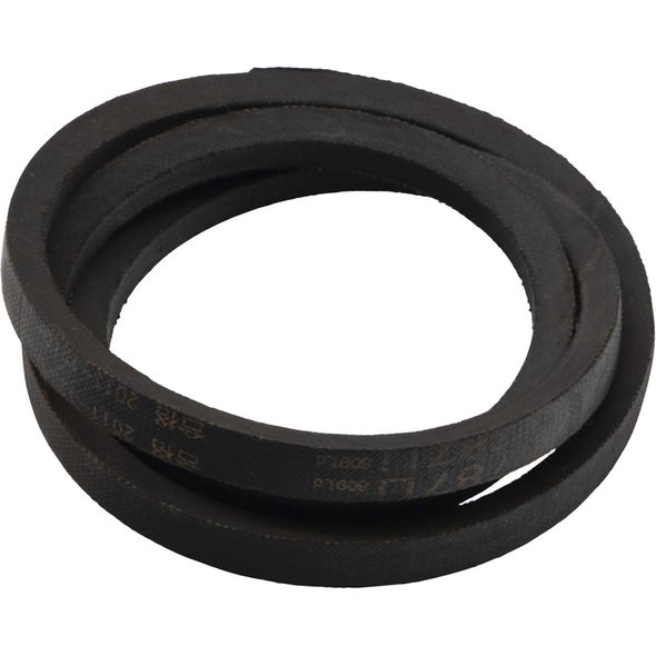 Sealey V-Belt