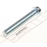Sealey Screw m8*55 SM3002-V2.193