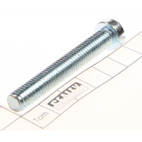 Sealey Screw m8*55 SM3002-V2.193