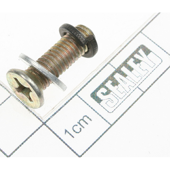 Sealey Screw (m6x20)