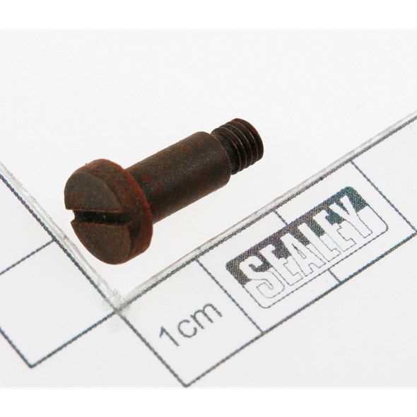Sealey Screw