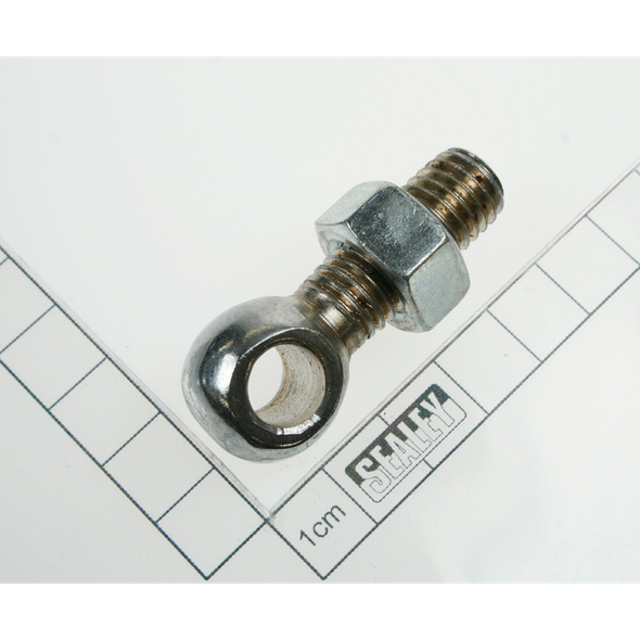 Sealey Spring pin