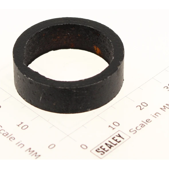 Sealey Bushing