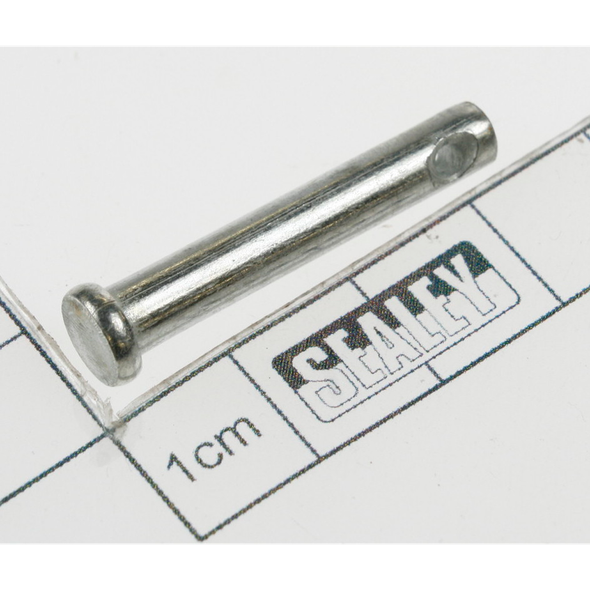Sealey Pin
