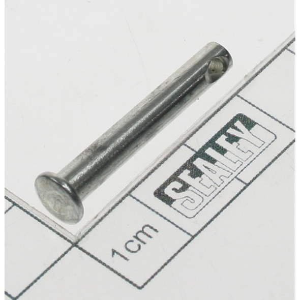 Sealey Pin