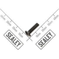 Sealey Phillips screw m5x16 SM914.68