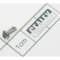 Sealey Rd head s/t screw m3x6 SMC01.V2-04