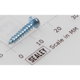 Sealey Rd head s/t screw m3x14 SMC01.V2-08