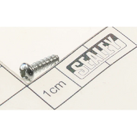 Sealey Screw