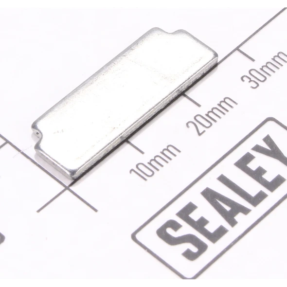 Sealey Magnet Support