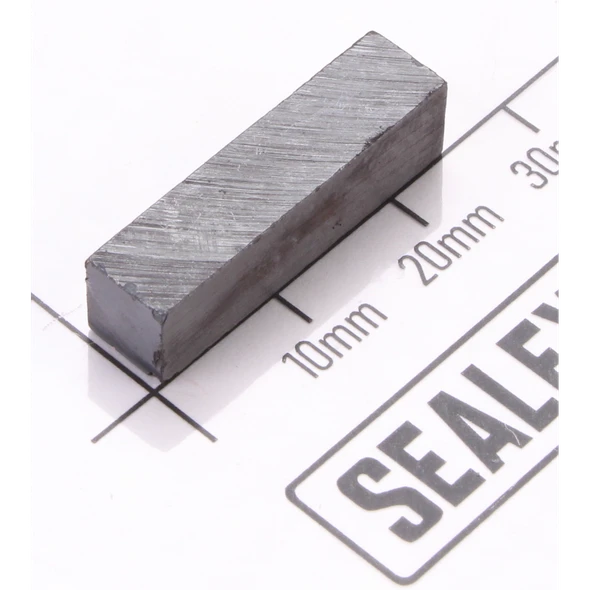 Sealey Magnet