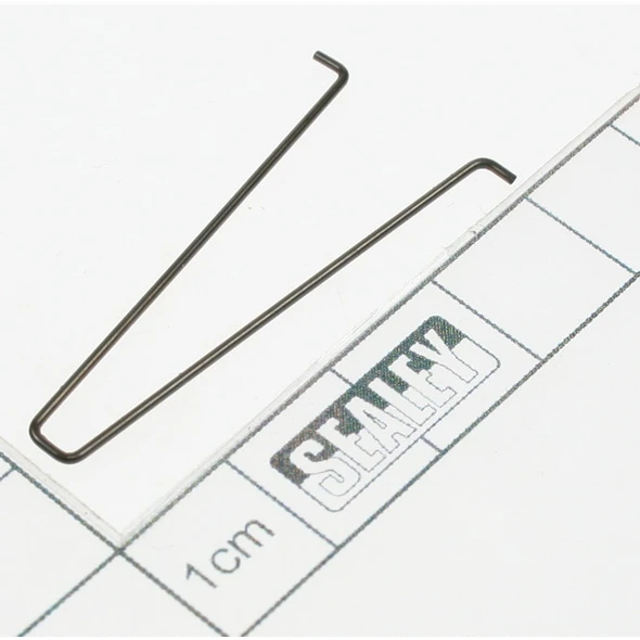 Sealey Steel spring