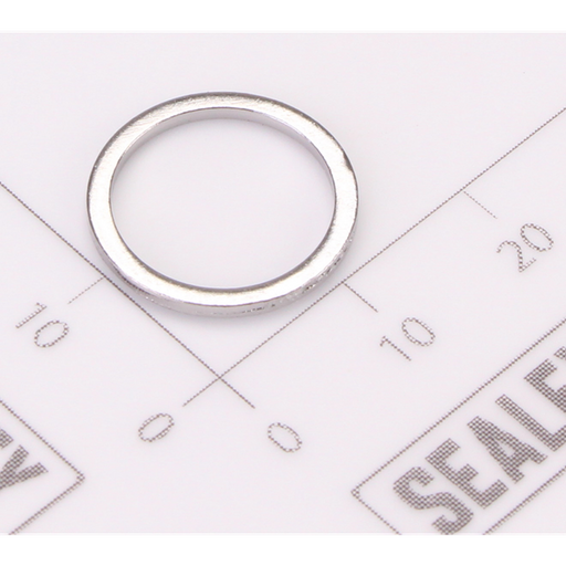 Sealey Gasket