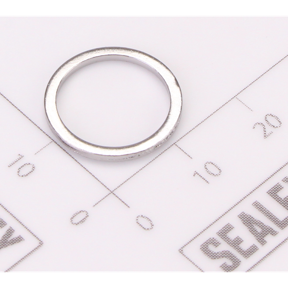 Sealey Gasket
