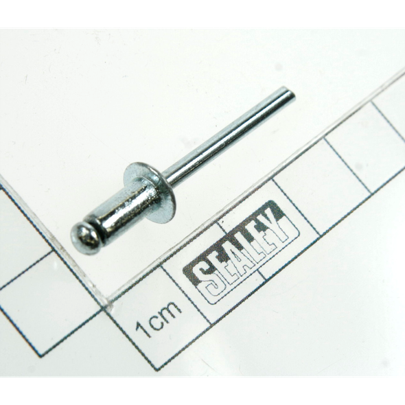 Sealey Rivet (5x10)