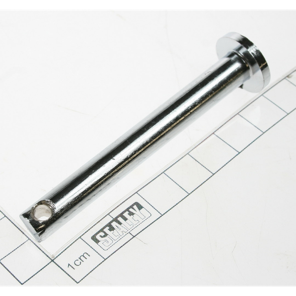 Sealey Pin