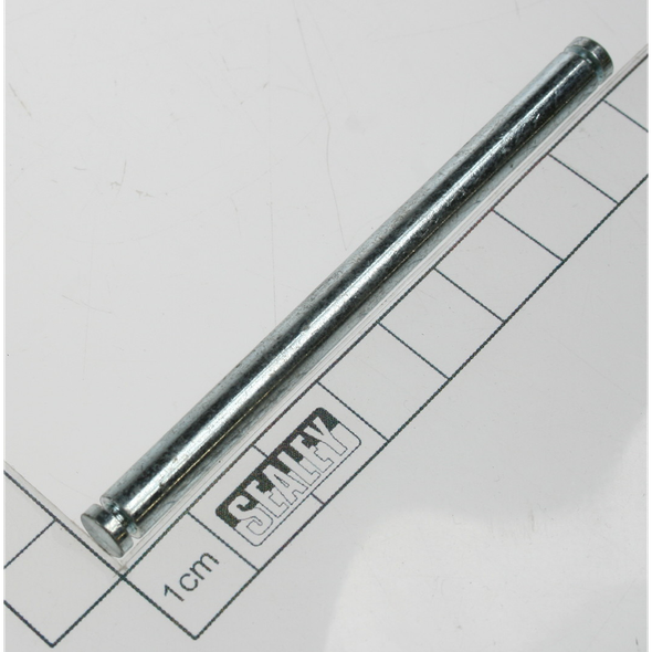 Sealey Pin