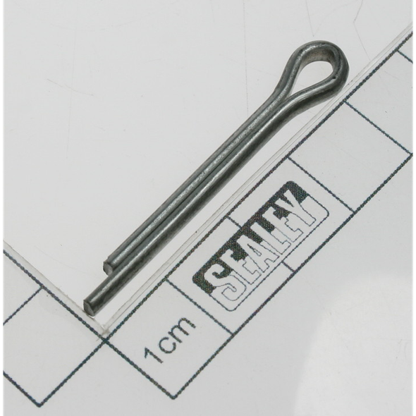 Sealey Pin