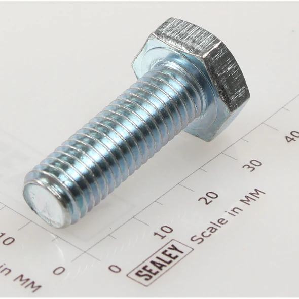 Sealey Hex head set screw m10x30mm single