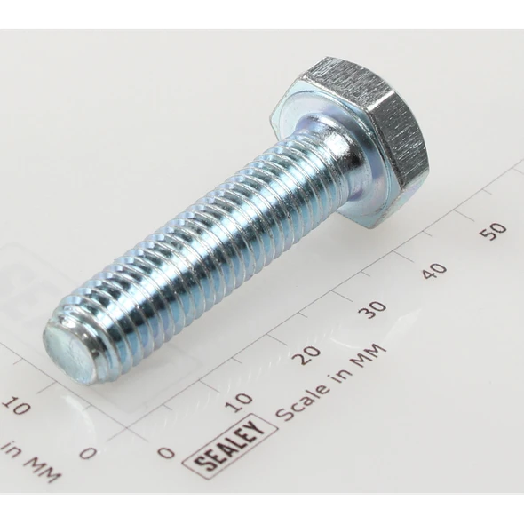 Sealey Hex head set screw m10x40mm single